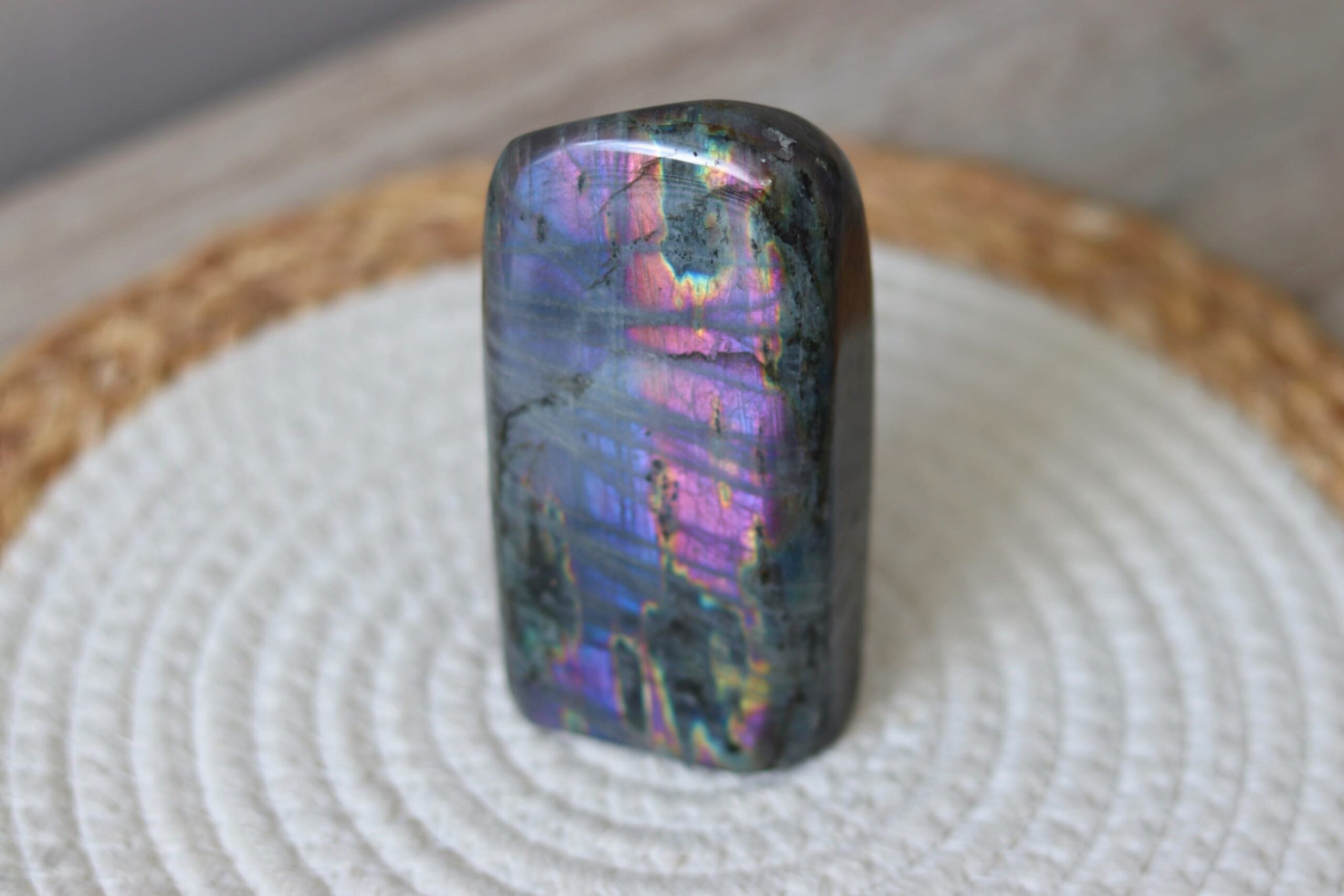 labradores flash paars roze staand