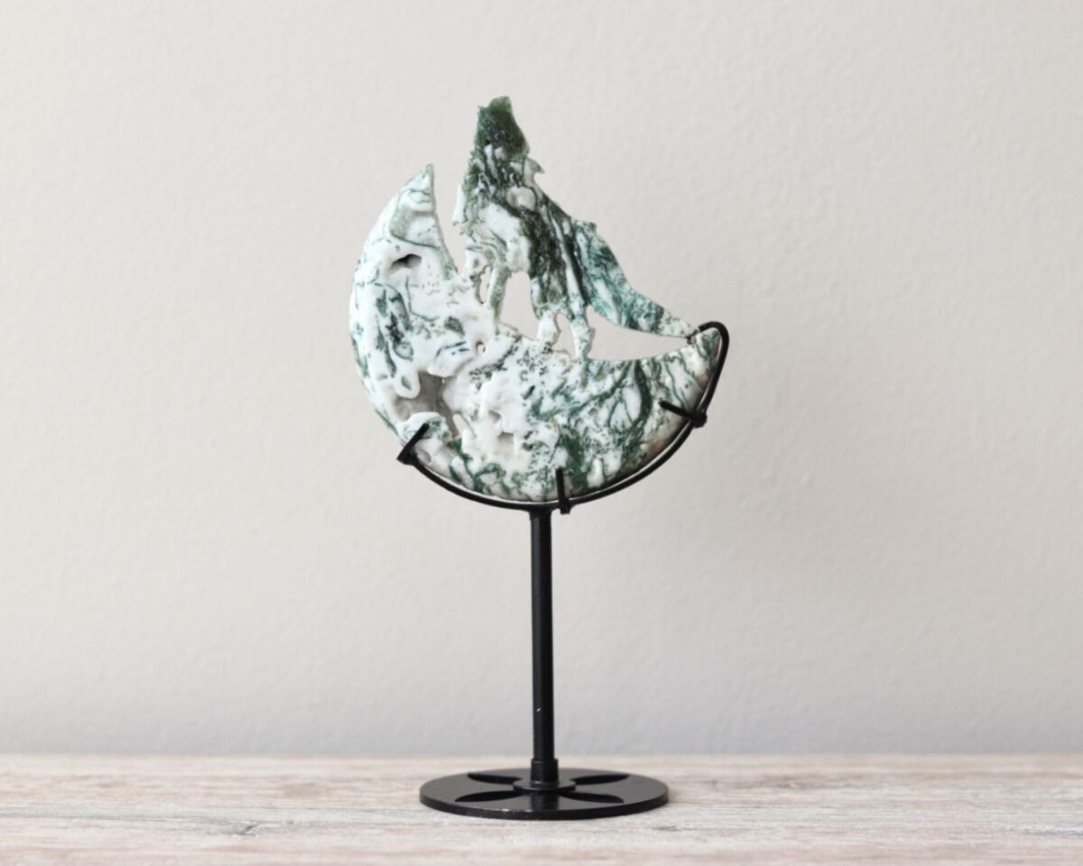 Prachtige wolf op standaard boomagaat