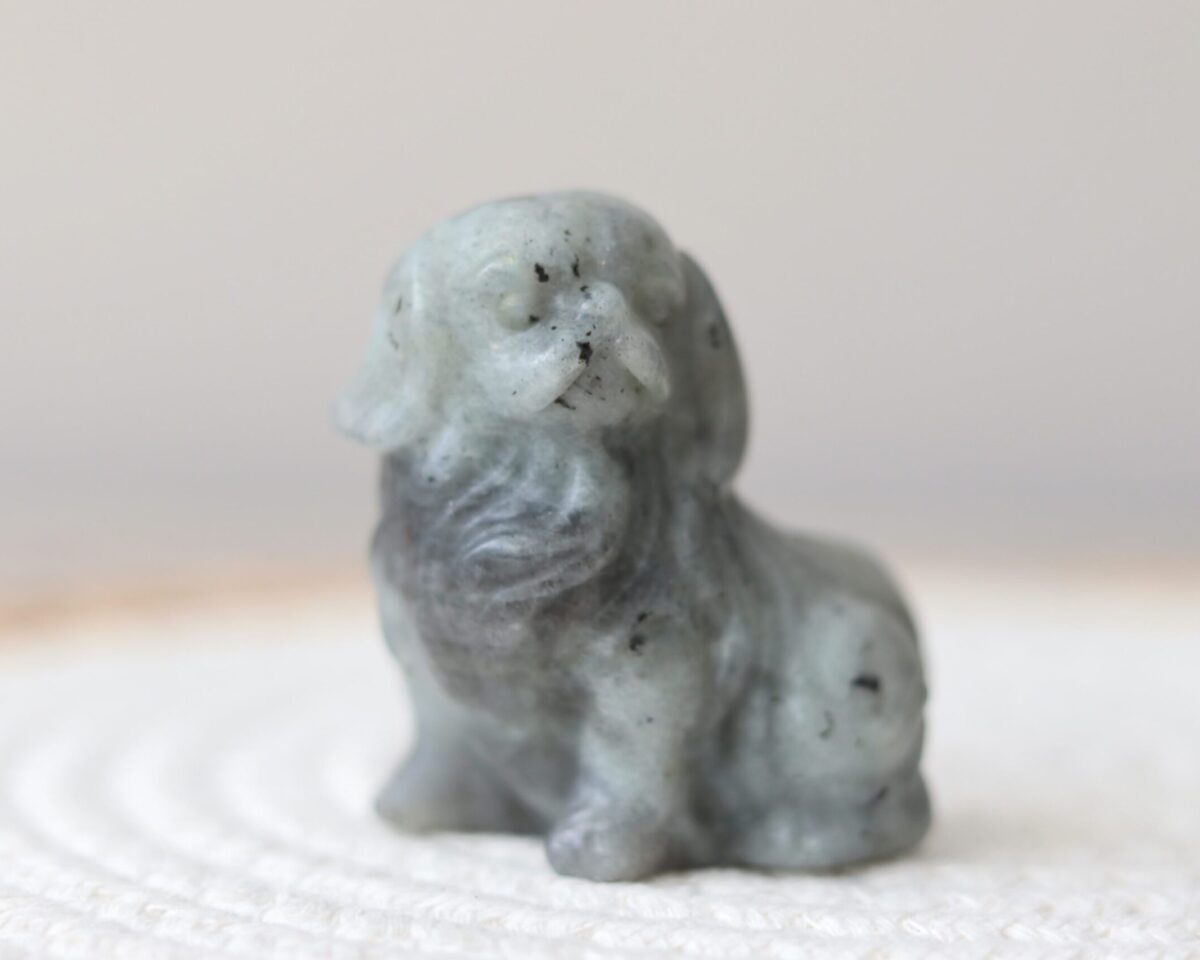 Schattige labradoriet carving hond