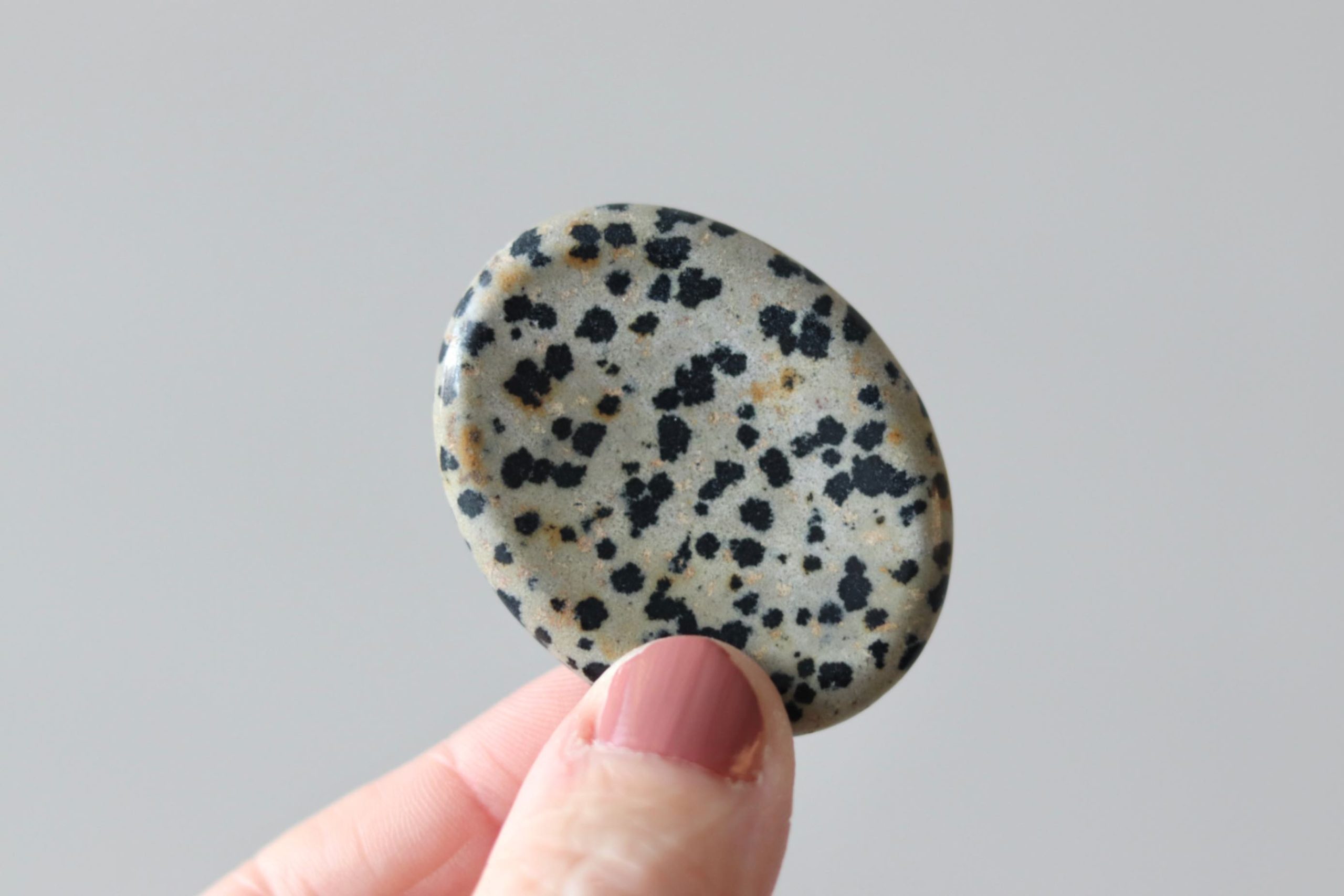aardende-worry-stone-dalmatiër-jaspis Aardende Worry stone Dalmatiër Jaspis